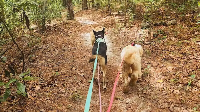 Brunswick Nature Park - Winnabow, NC