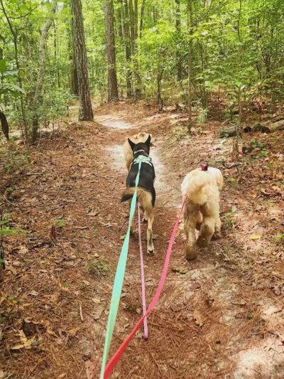 Brunswick Nature Park - Winnabow, NC