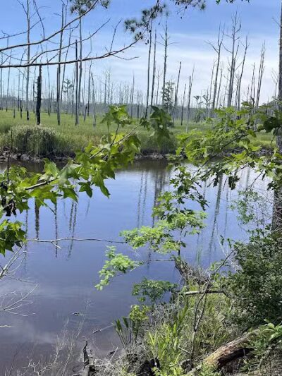 Brunswick Nature Park - Winnabow, NC