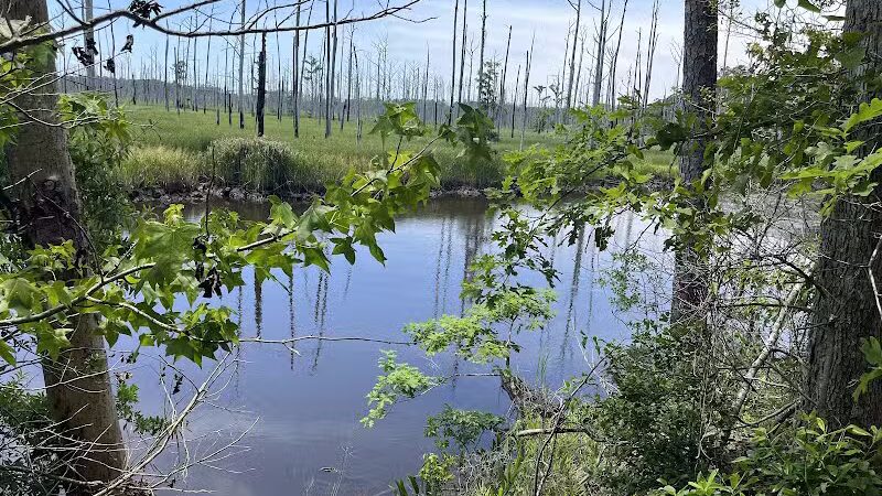 Brunswick Nature Park - Winnabow, NC