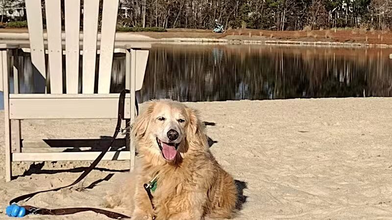 Hammock Lake Park - Winnabow, NC