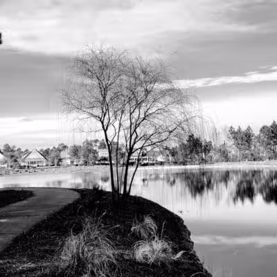 Hammock Lake Park - Winnabow, NC