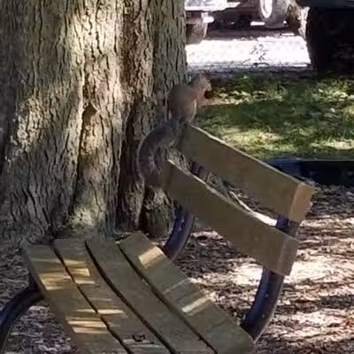 Memorial Park - Winnebago, IL