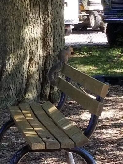 Memorial Park - Winnebago, IL