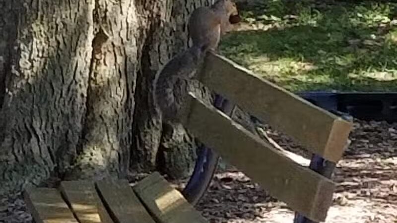 Memorial Park - Winnebago, IL