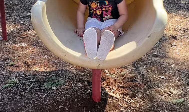 Memorial Park - Winnebago, IL