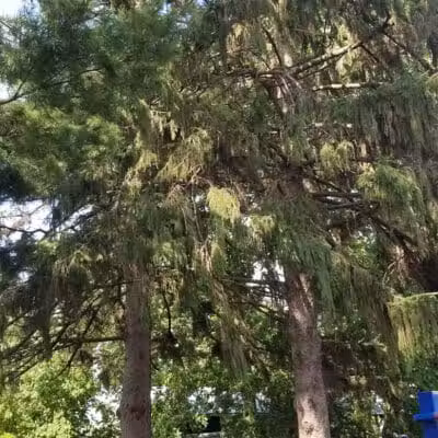 Memorial Park - Winnebago, IL