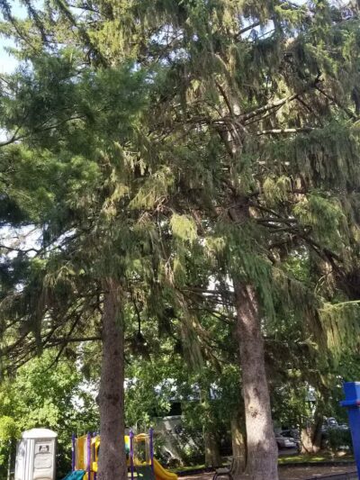 Memorial Park - Winnebago, IL