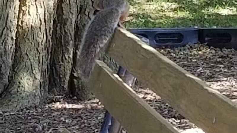 Memorial Park - Winnebago, IL