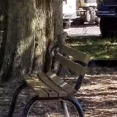 Memorial Park - Winnebago, IL