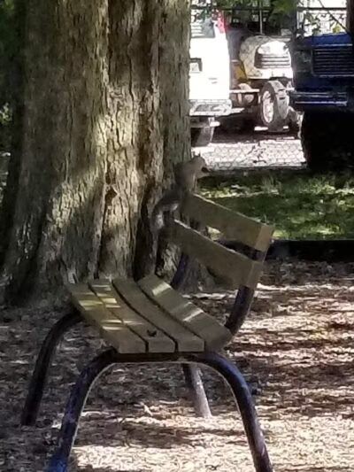 Memorial Park - Winnebago, IL