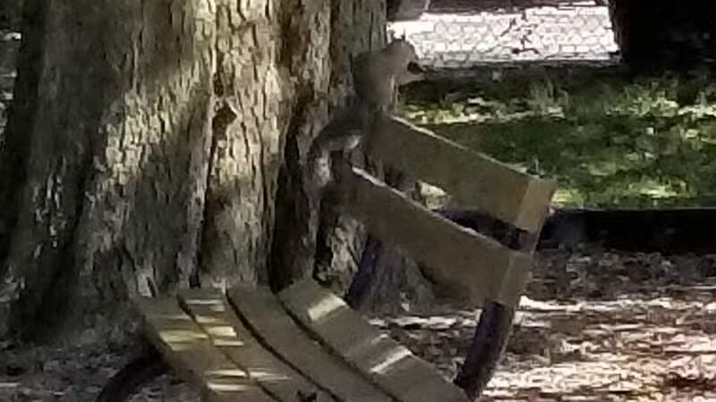 Memorial Park - Winnebago, IL