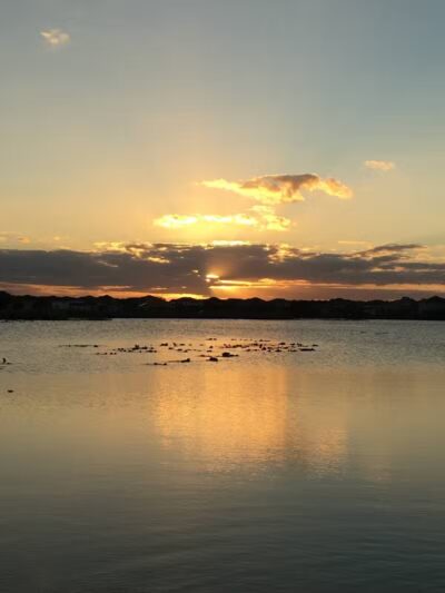 Independence Community Dog Park - Winter Garden, FL