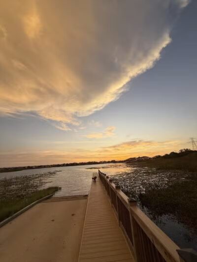 Independence Community Dog Park - Winter Garden, FL