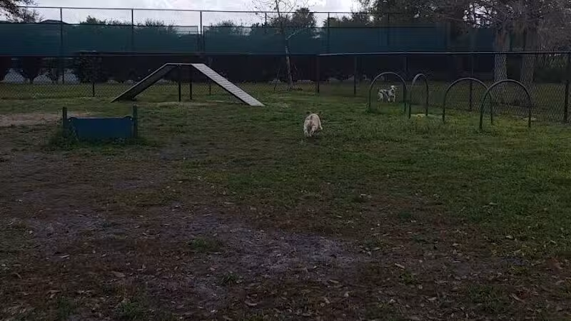 Falcon Square Dog Park - Winter Garden, FL