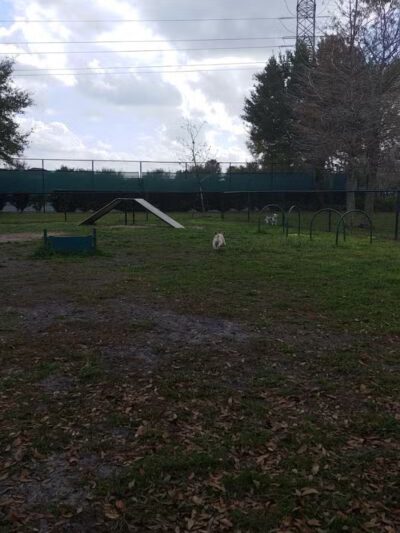 Falcon Square Dog Park - Winter Garden, FL
