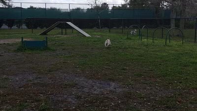 Falcon Square Dog Park - Winter Garden, FL