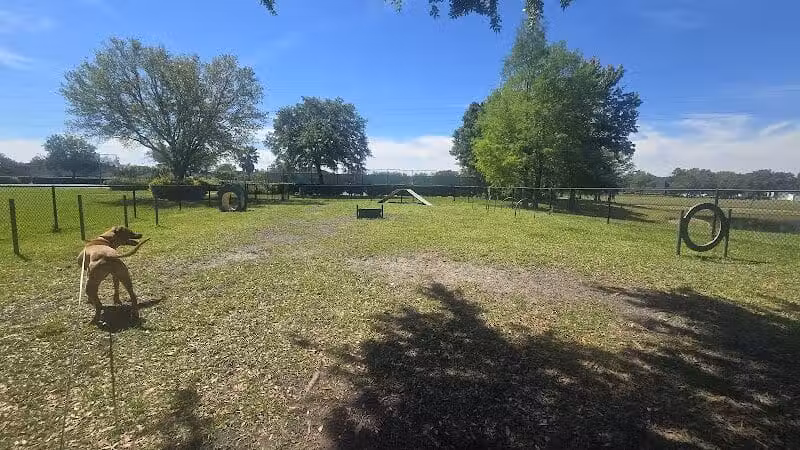 Falcon Square Dog Park - Winter Garden, FL