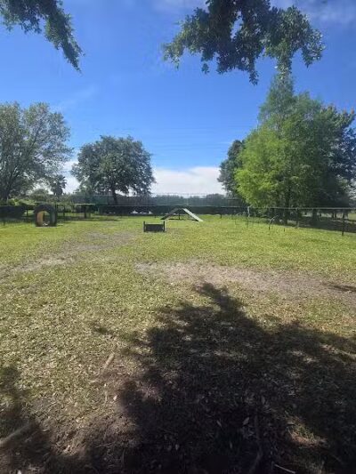 Falcon Square Dog Park - Winter Garden, FL