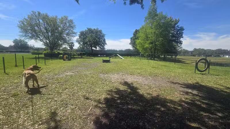 Falcon Square Dog Park - Winter Garden, FL