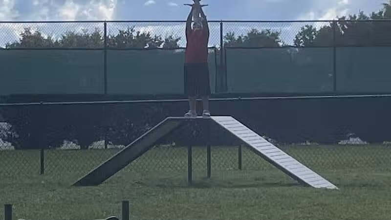 Falcon Square Dog Park - Winter Garden, FL