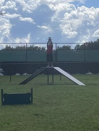 Falcon Square Dog Park - Winter Garden, FL