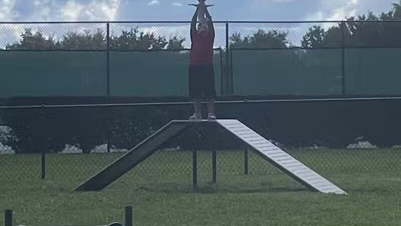 Falcon Square Dog Park - Winter Garden, FL