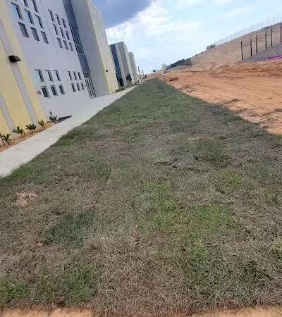 Falcon Square Dog Park - Winter Garden, FL