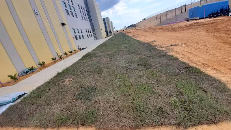 Falcon Square Dog Park - Winter Garden, FL