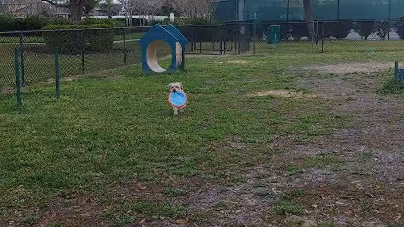 Falcon Square Dog Park - Winter Garden, FL