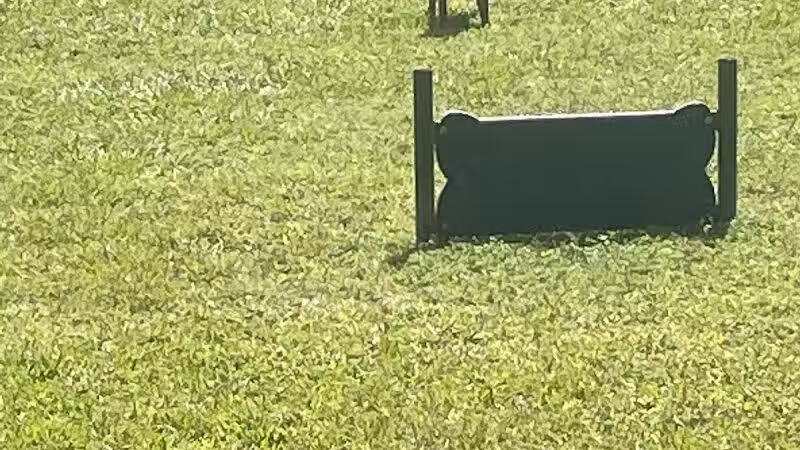 Falcon Square Dog Park - Winter Garden, FL