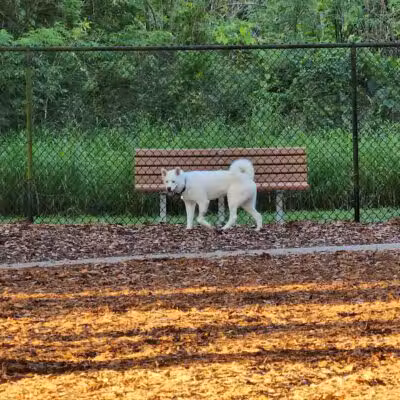 West Orange Dog Park - Winter Garden, FL