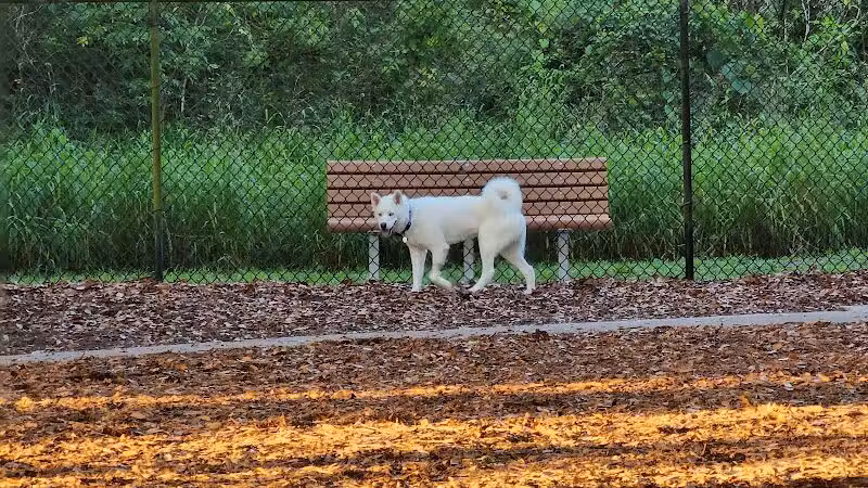 West Orange Dog Park - Winter Garden, FL
