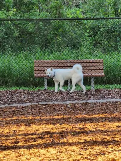 West Orange Dog Park - Winter Garden, FL