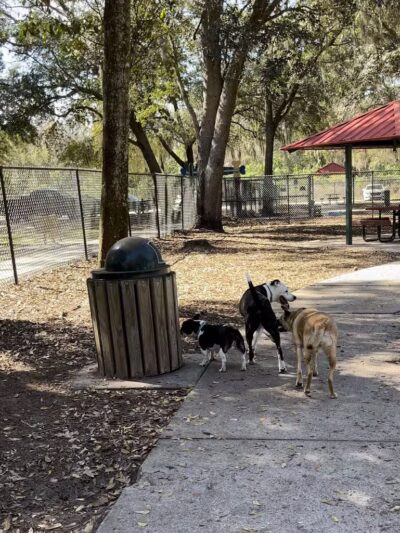 West Orange Dog Park - Winter Garden, FL