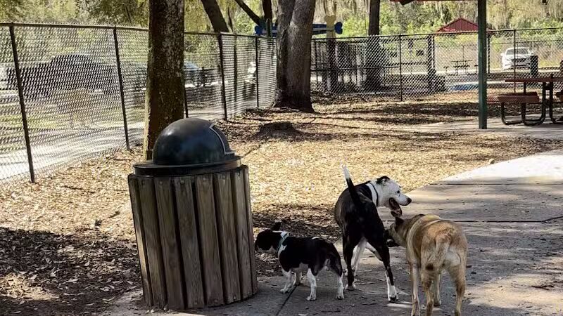 West Orange Dog Park - Winter Garden, FL