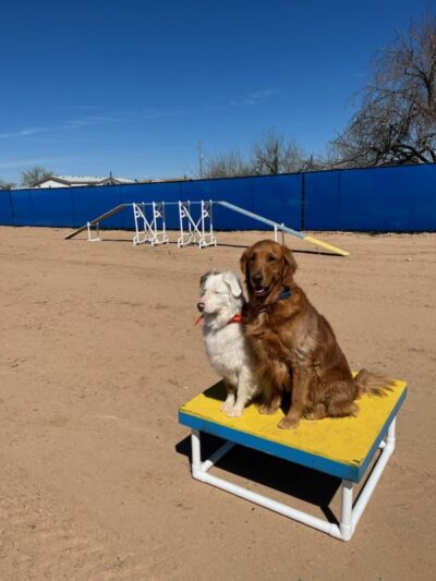 Legend Acres Agility Course Dog Park - Wittmann, AZ