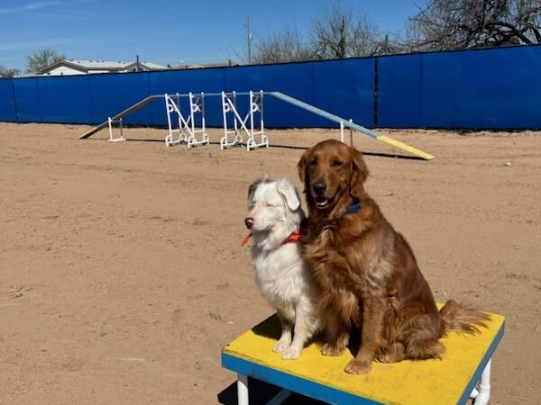 Legend Acres Agility Course Dog Park - Wittmann, AZ