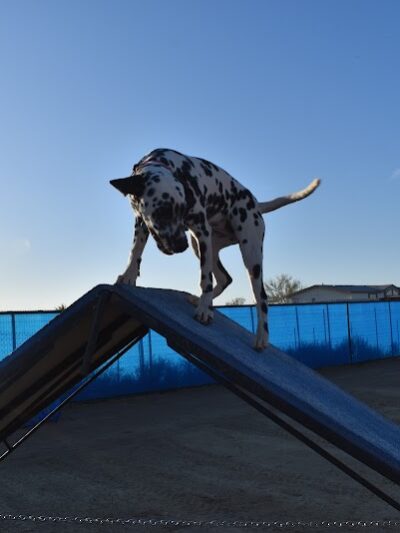 Legend Acres Agility Course Dog Park - Wittmann, AZ