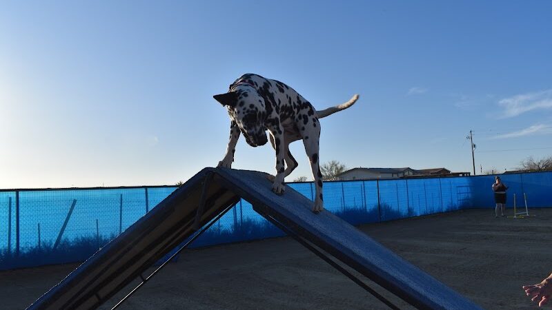Legend Acres Agility Course Dog Park - Wittmann, AZ
