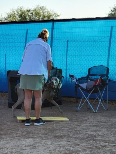 Legend Acres Agility Course Dog Park - Wittmann, AZ