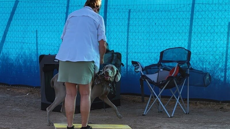 Legend Acres Agility Course Dog Park - Wittmann, AZ