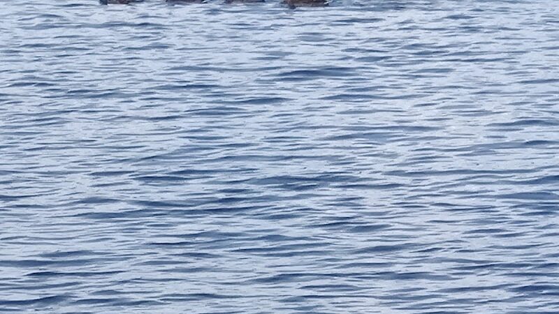 Mattatuck Beach - Wolcott, CT