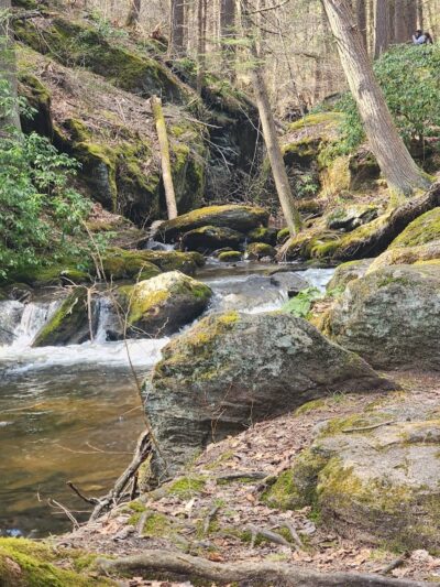 Peterson Memorial Park - Wolcott, CT
