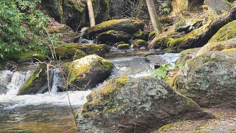 Peterson Memorial Park - Wolcott, CT