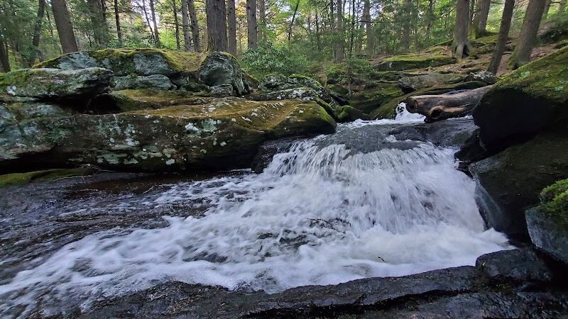 Peterson Memorial Park - Wolcott, CT