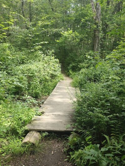 Peterson Memorial Park - Wolcott, CT