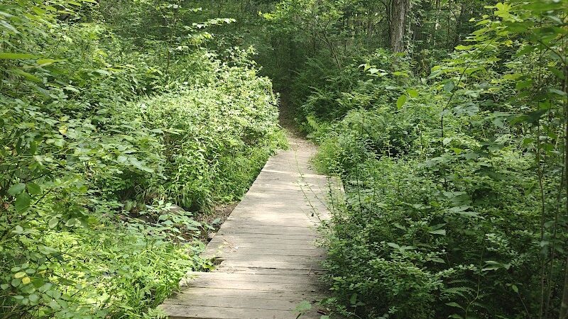 Peterson Memorial Park - Wolcott, CT
