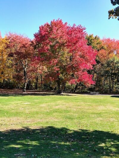 Peterson Memorial Park - Wolcott, CT
