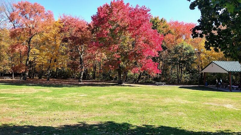 Peterson Memorial Park - Wolcott, CT